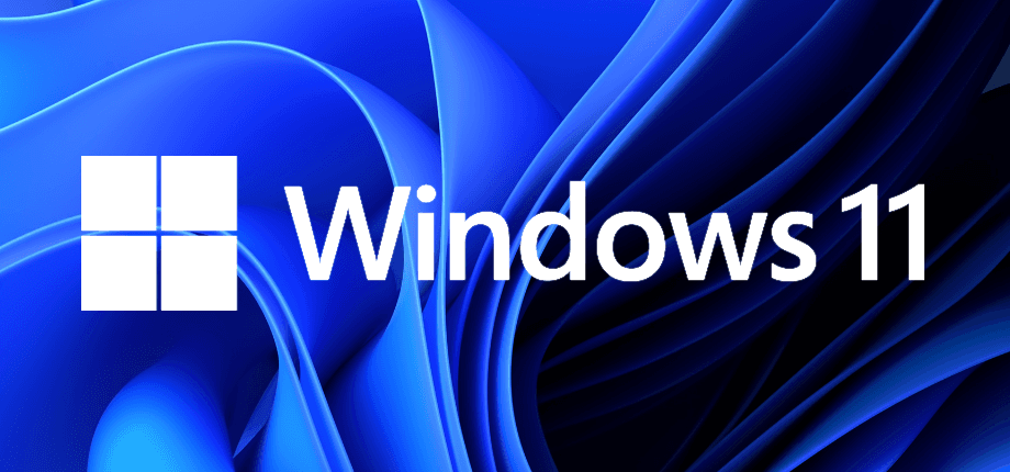 Windows 11