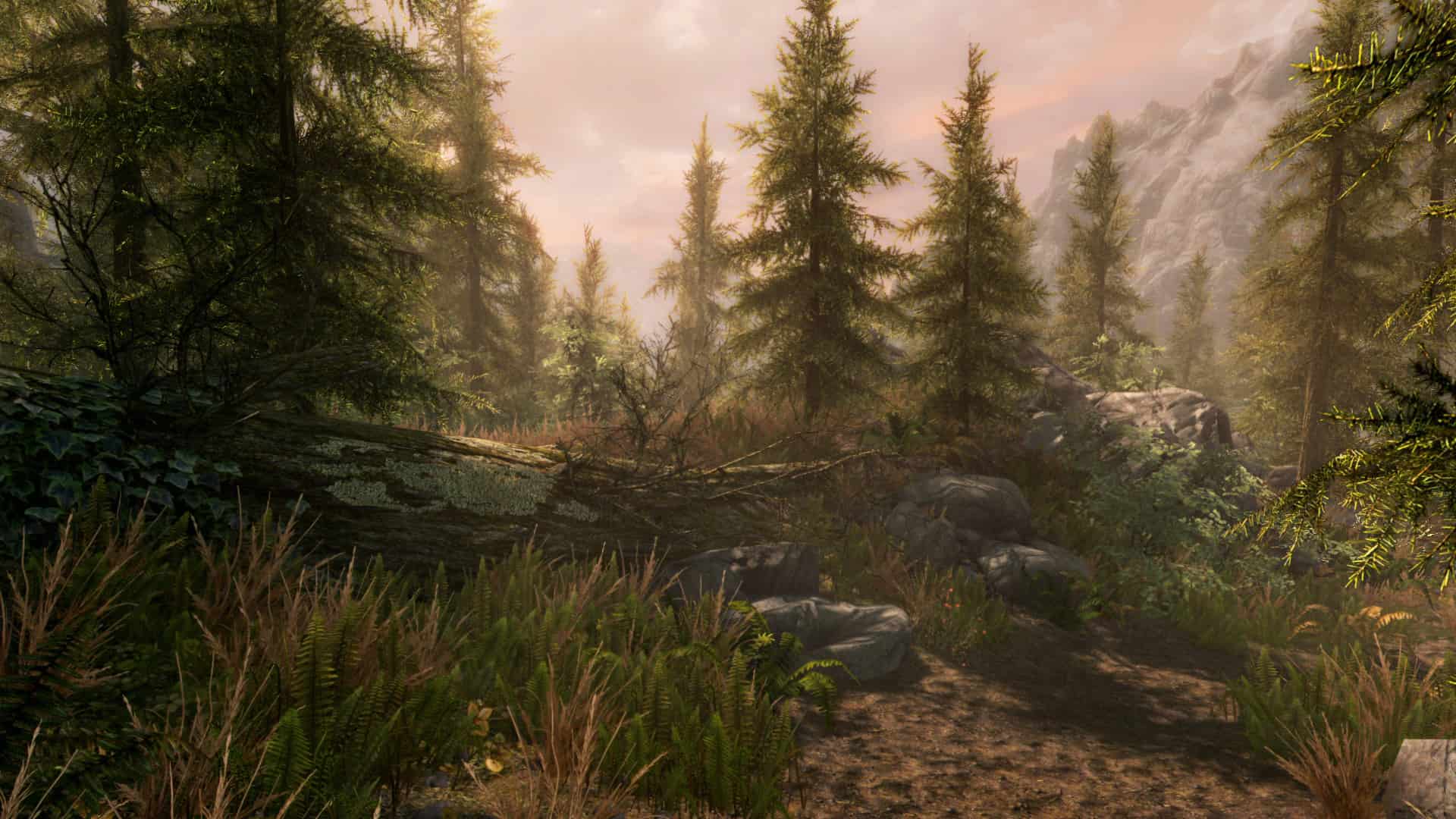 The Elder Scrolls V: Skyrim Special Edition (screenshot 7)