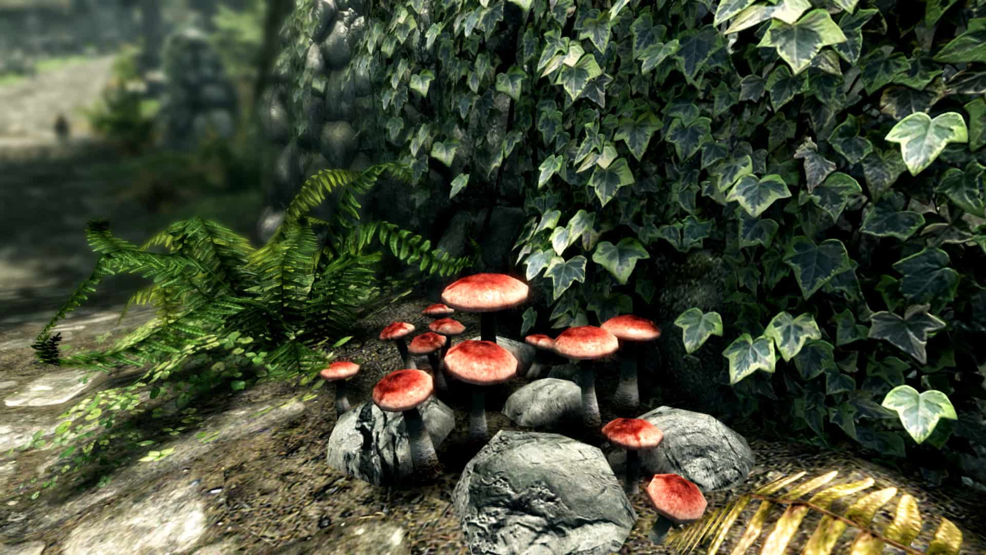 The Elder Scrolls V: Skyrim Special Edition (screenshot 6)